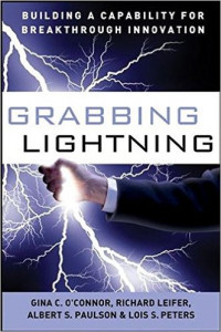 Grabbing Lightning: Building a Capability for Breakthrough Innovation